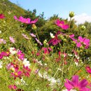 바위와 산성 이미지