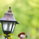 도리2천 이미지