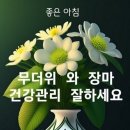 ❤️💚성인유머~!!!💚❤️ 이미지