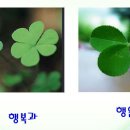 힐링 플러스 이미지