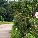 신대2리 이미지