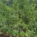 구룡부동산중개 이미지