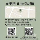 숨테라피