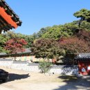 삼신스테이 이미지