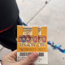 장흥로 | 강화도 루지 케이블카 갈만한곳 할인방법 쫄보의 솔직 후기