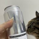 마일더스 이미지