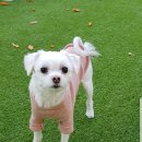 코코부동산공인중개사사무소 이미지