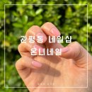 온니네일 | 관평동네일 : 온니네일에서 화사한 핑크시럽 후기