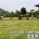 멍요일 | 담양 신상애견카페 넓은천연잔디운동장 멍포레
