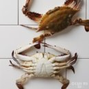 일품해물탕 이미지