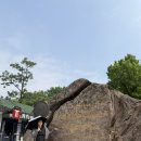 중국 난징여행 필수코스 중산릉 후기