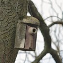 도량초등학교 이미지