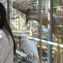 다복파크 | 내돈내산 경주 버드파크 다녀왔습니듀