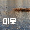 아이벳 이미지