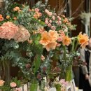 라플레르 이미지