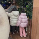 거제-연초-연초-비상-12 | 아바타3 불과재, 느루집 판교, 연말연초