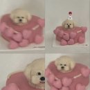 그레잇멍데잇 이미지