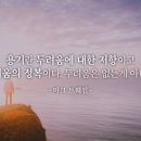청춘헤어 이미지
