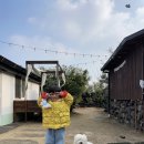 땡칠이 민박 이미지