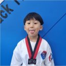참교육타이거 태권도장 | 블랙타이거 진주태권도장, 아이들 꿈과 자신감 키우는 곳
