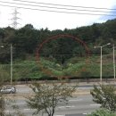 강서구-76 네이버블로그