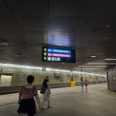 오렌지월드타운 | [싱가포르] 차이나타운역에서 스카이라인 루지 타러...NEL 센토사익스프레스 대중교통 가격 카드 이용 후기