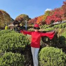 한나회식당 이미지