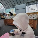 늘푸르름농장 네이버블로그
