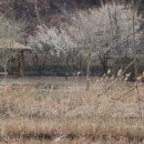 우포늪 생태체험장 화장실 이미지