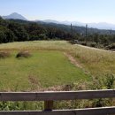 세현농장 이미지