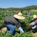 정읍시청 이미지