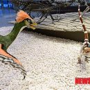 한국지질자원연구원 지질박물관 이미지