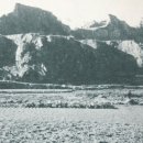 백초(여) 이미지