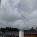 자사녹