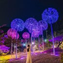 직지문화공원 이미지