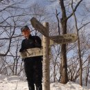 [복원]금당산1,174 거문산1,173고두산1,013 약수봉1023새아우봉925m 절구봉(등용봉.수리봉산1.044.9)강원평창대화 이미지