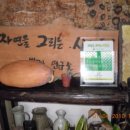 자연을그리는사람들 이미지