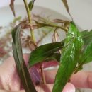 피알이랩 이미지