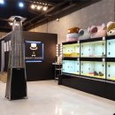 강아지 와요와요 이미지