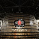 1692 | [포르투 여행] 예쁜 정원에서 포트 와인 한 잔! '테일러스' 와이너리 투어 후기