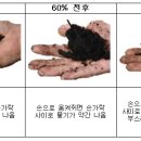 정상퇴비 네이버블로그