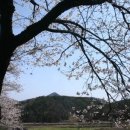 용천교 전