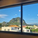 덕성빨래방 | 제주도 통오징어 짬뽕 맛집, 사계리 &#39;고래성&#39;