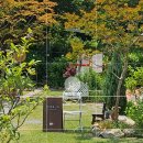 앵지밭골 이미지