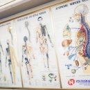 김선호한의원 이미지