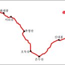 축령