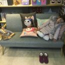 수성S여성의원 이미지