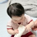 리숨 센텔라 베이비 아기샴푸 후기ㅣ휴대용 아기샴푸 후기