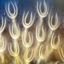 1박2일 모텔 이미지