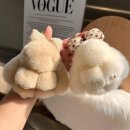 렉스